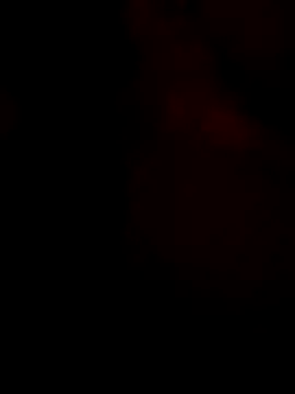 Leefin09 online show from January 2026 10:08:01 PM