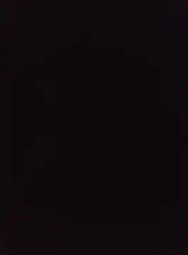 Snapshot of acuarela chatting on January 2025 05:05:01 AM acuarela online show from January 2025 05:05:01 AM