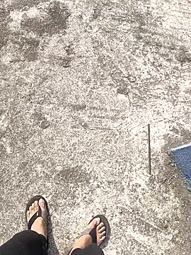 aryan 8051 online show from January 2025 04:31:02 AM