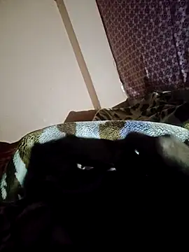 tamilenglish online show from April 2026 06:56:02 PM