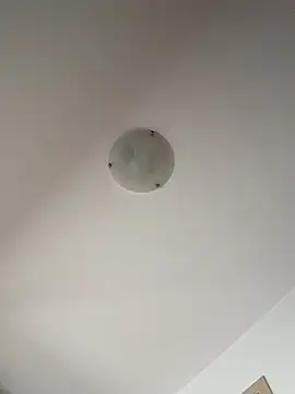 NNNoire online show from February 2026 04:32:01 PM