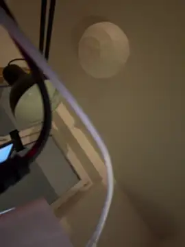 shiny bunnyyy online show from January 2025 05:09:01 PM