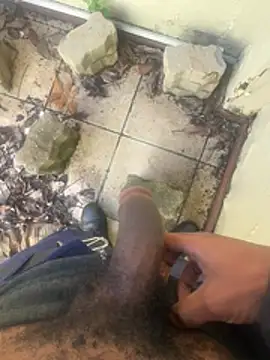 triplebeast online show from March 2026 08:55:02 AM