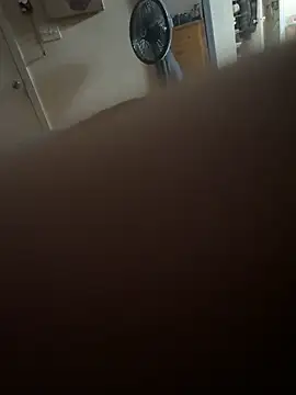 D2025Shower online show from April 2026 10:51:01 AM