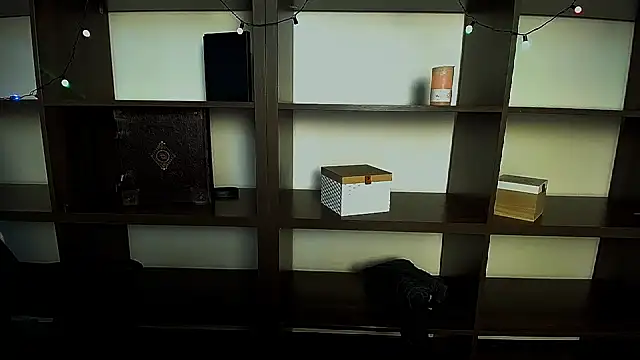 Snapshot of Lexi_Jous chatting on February 2025 12:27:01 PM Lexi Jous online show from February 2025 12:27:01 PM