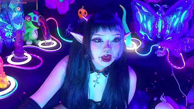 LaytonBox online show from March 2026 02:09:01 PM