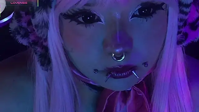 LaytonBox online show from March 2026 02:11:02 PM