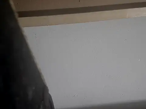 filthymind619 online show from January 2025 05:00:01 AM