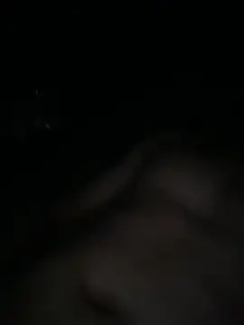 Az 89-23 online show from February 2026 08:14:01 AM