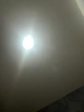 Az 89-23 online show from April 2026 06:41:01 AM