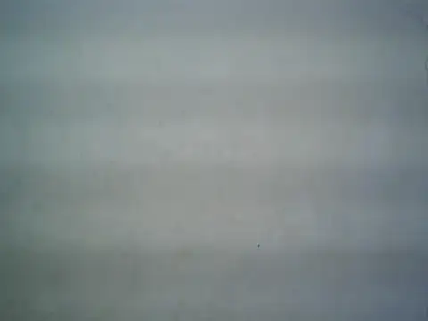 Snapshot of michel1520 chatting on July 2026 11:27:02 AM michel1520 online show from July 2026 11:27:02 AM