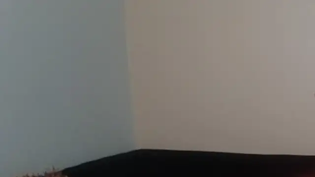 hairyncuteass online show from February 2025 08:24:01 PM