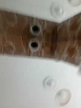 Snapshot of nelly88_xxx chatting on February 2026 09:37:01 AM nelly88 xxx online show from February 2026 09:37:01 AM