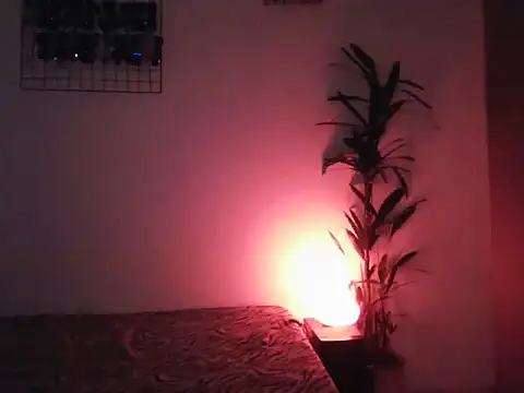 lollaxjf online show from May 2026 04:09:02 AM