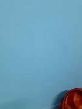 Divya-2007 online show from February 2025 12:06:02 PM