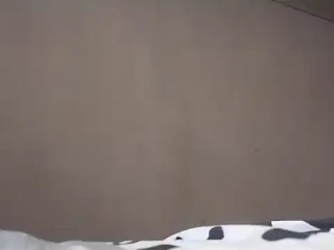 Snapshot of Chandy012 chatting on March 2025 01:18:01 PM Chandy012 online show from March 2025 01:18:01 PM