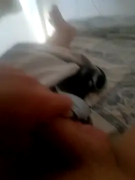 Snapshot of jacaranduba07 chatting on January 2025 06:28:01 PM jacaranduba07 online show from January 2025 06:28:01 PM