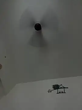 Snapshot of DrinkLikeFish chatting on February 2025 12:19:02 AM DrinkLikeFish online show from February 2025 12:19:02 AM