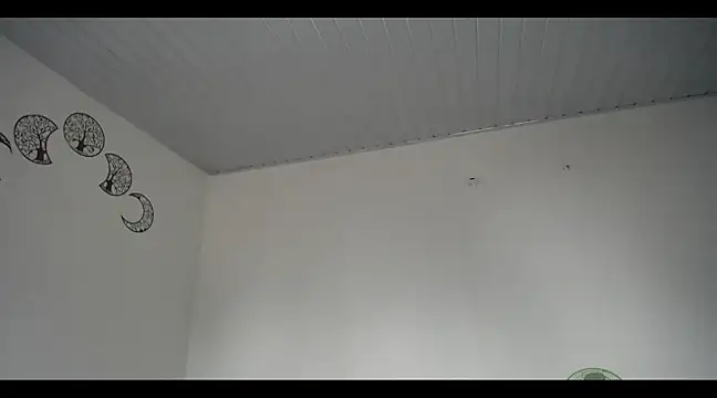 Snapshot of lana_roman chatting on March 2025 08:08:02 PM lana roman online show from March 2025 08:08:02 PM