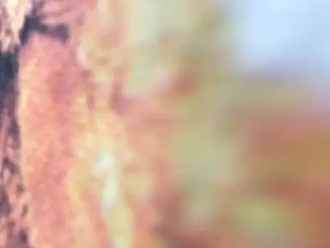 Snapshot of riri_riri_jp chatting on December 2025 10:09:02 AM riri riri jp online show from December 2025 10:09:02 AM