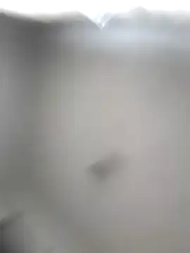 Godessofpleasxa online show from December 2025 08:19:02 AM