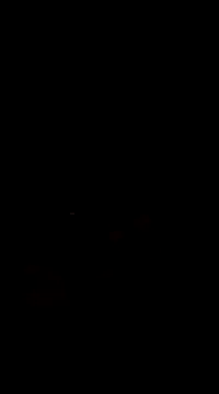 Snapshot of Raj41 chatting on March 2025 05:05:01 PM Raj41 online show from March 2025 05:05:01 PM