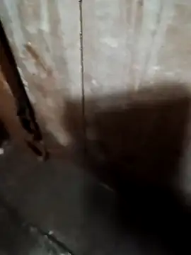 Snapshot of Raj41 chatting on September 2025 01:39:02 AM Raj41 online show from September 2025 01:39:02 AM