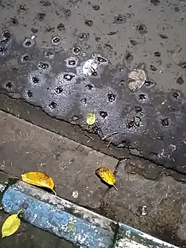 Snapshot of Raj41 chatting on September 2025 01:45:01 PM Raj41 online show from September 2025 01:45:01 PM