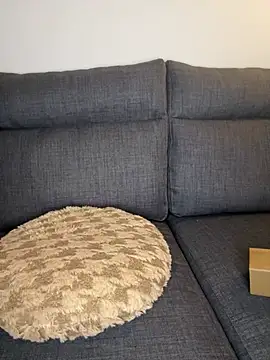 Lobna-alami online show from February 2025 11:54:02 PM