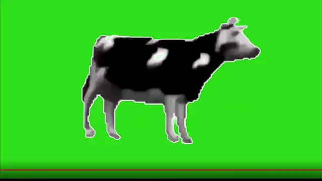test FramedTishri m online show from May 2026 03:20:02 PM