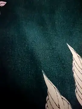 Love-N online show from April 2026 09:56:01 PM