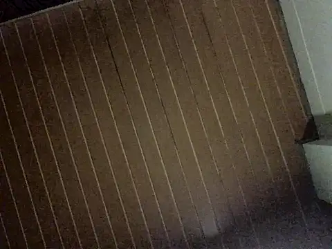 Nooneisthis online show from December 2025 06:32:01 AM