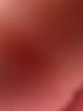 Snapshot of paullliliu chatting on February 2026 03:44:02 PM paullliliu online show from February 2026 03:44:02 PM