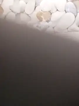 Playboy bhabhi 00 online show from February 2025 07:23:01 AM