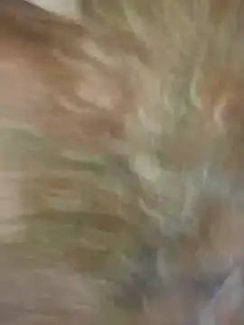 Snapshot of Santiago-Thompson chatting on January 2025 08:23:02 PM Santiago-Thompson online show from January 2025 08:23:02 PM