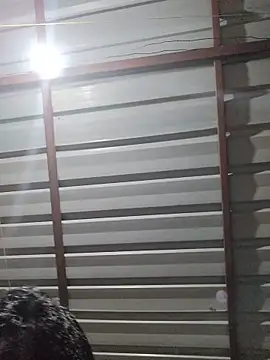 birds0641 online show from May 2026 07:00:02 PM