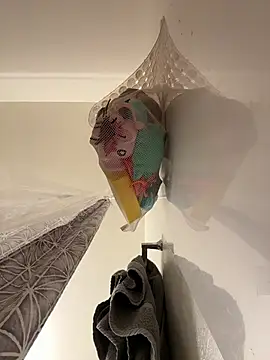 Chori56 online show from January 2026 02:14:02 AM