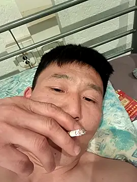 wadmma online show from November 2025 11:59:01 PM