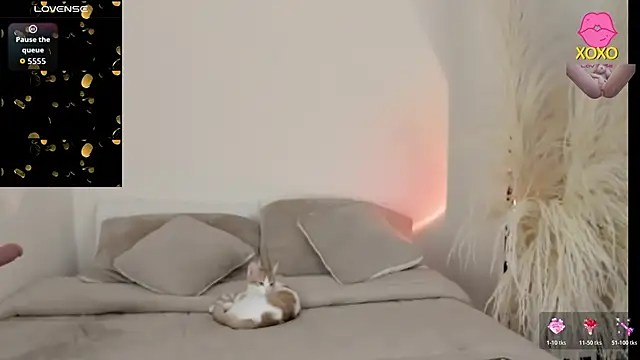 Sammy-Jhonson online show from March 2026 11:05:02 PM