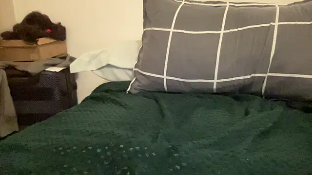 shineofcrazy online show from November 2025 12:32:02 AM