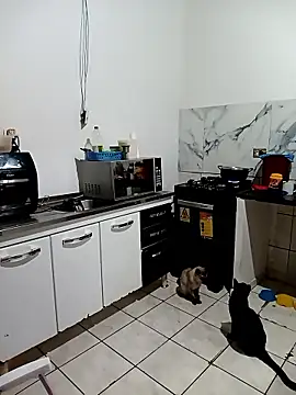 Pantaneirasexy online show from November 2025 04:31:02 PM