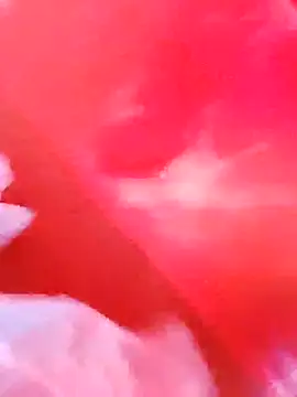 Snapshot of dominationmybigdick chatting on December 2025 09:51:01 AM dominationmybigdick online show from December 2025 09:51:01 AM