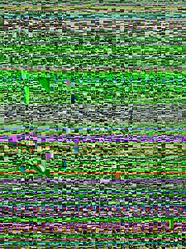 Walker Thomas1 online show from July 2026 10:34:01 PM
