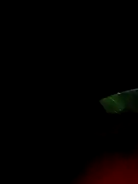 Snapshot of ginger_1_1 chatting on March 2025 12:38:02 AM ginger 1 1 online show from March 2025 12:38:02 AM