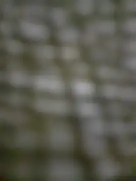 Snapshot of Mineirinho043 chatting on February 2025 04:48:01 PM Mineirinho043 online show from February 2025 04:48:01 PM