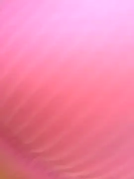 Dulce  Boyd online show from November 2025 01:44:01 PM