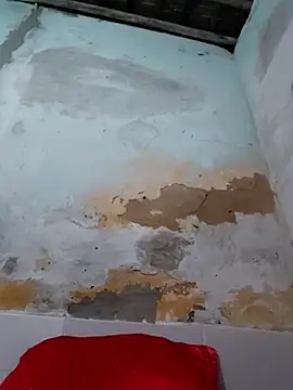 Snapshot of shuelldin chatting on October 2025 02:47:02 AM shuelldin online show from October 2025 02:47:02 AM