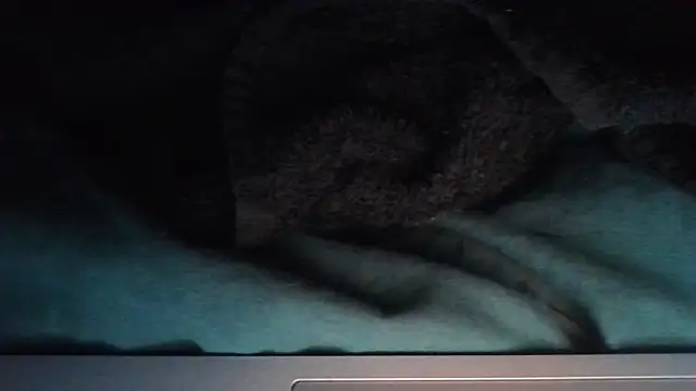 sheiku online show from October 2025 05:44:02 PM