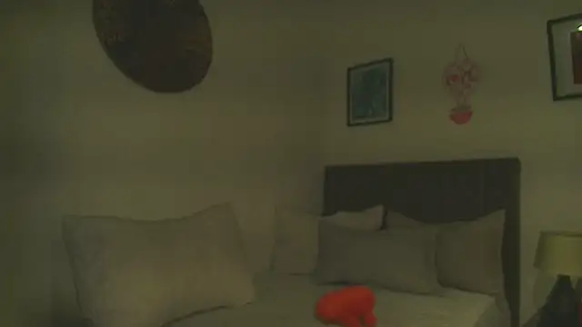 Snapshot of Dhalila_ chatting on February 2026 01:30:02 PM Dhalila online show from February 2026 01:30:02 PM