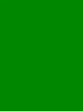 NorthStar907 online show from May 2026 12:01:01 PM